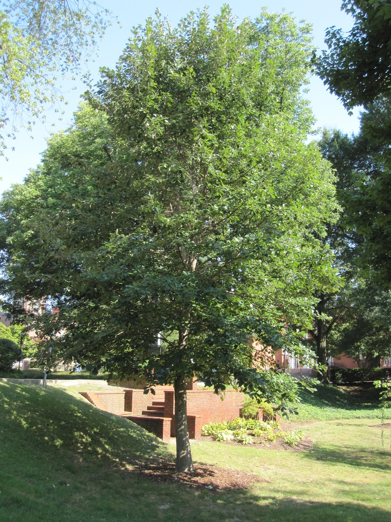 Small form