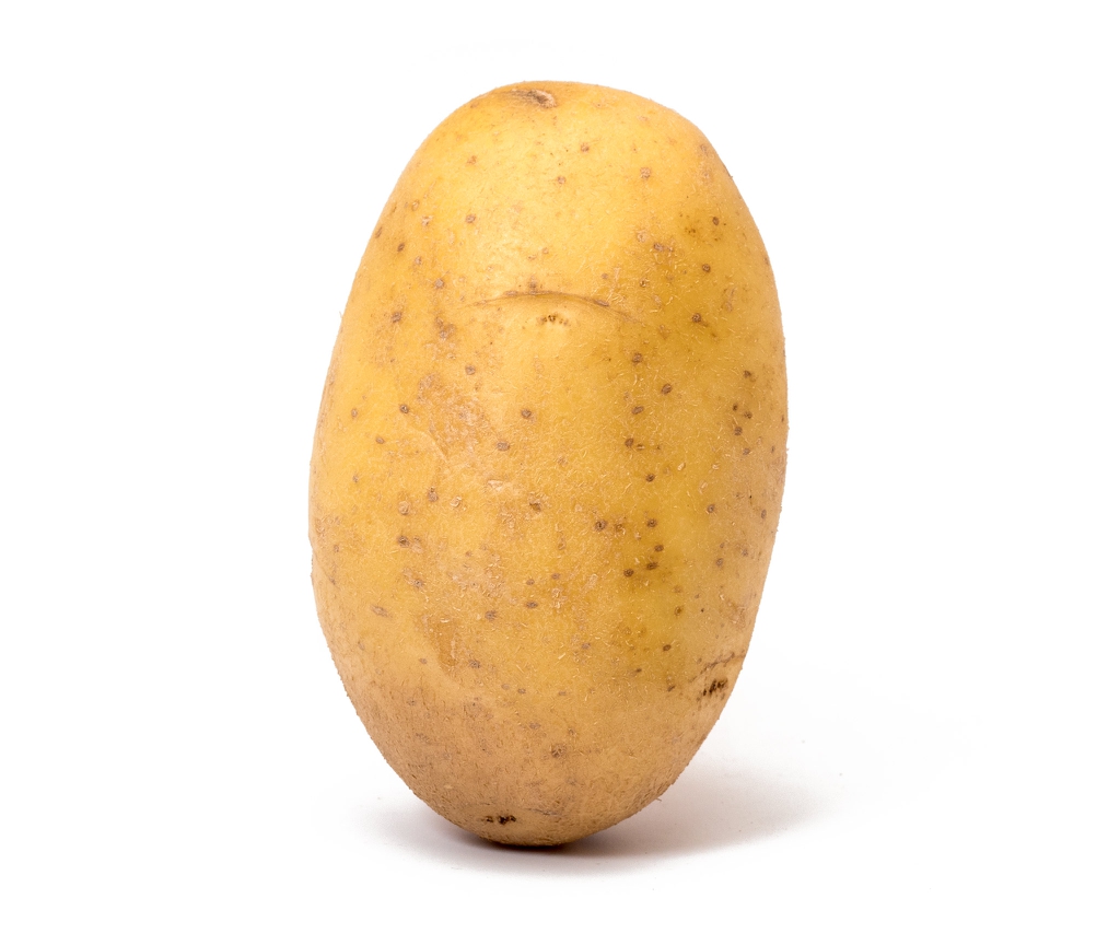 Solanum tuberosum