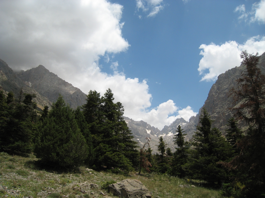 Native habitat