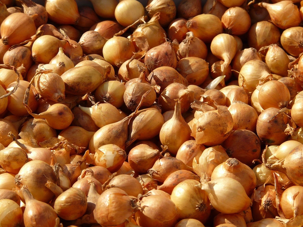 shallots