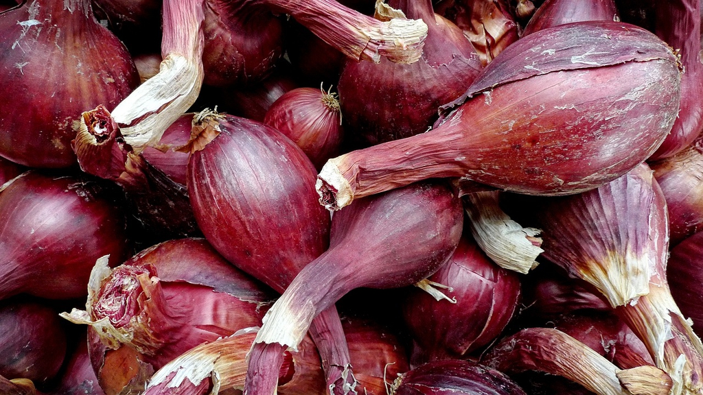 Red shallots