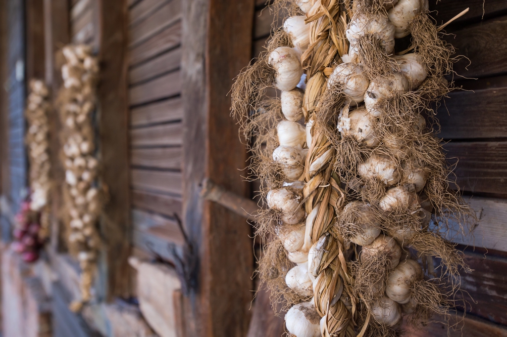 Braided garlic for storage