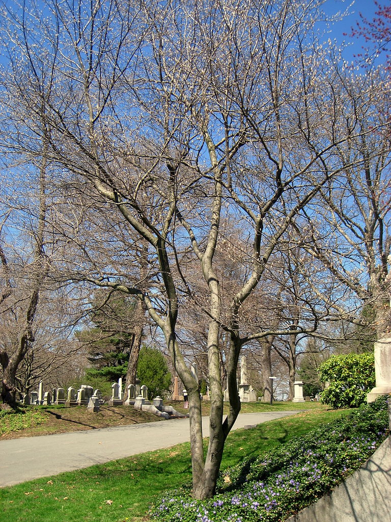 Winter form