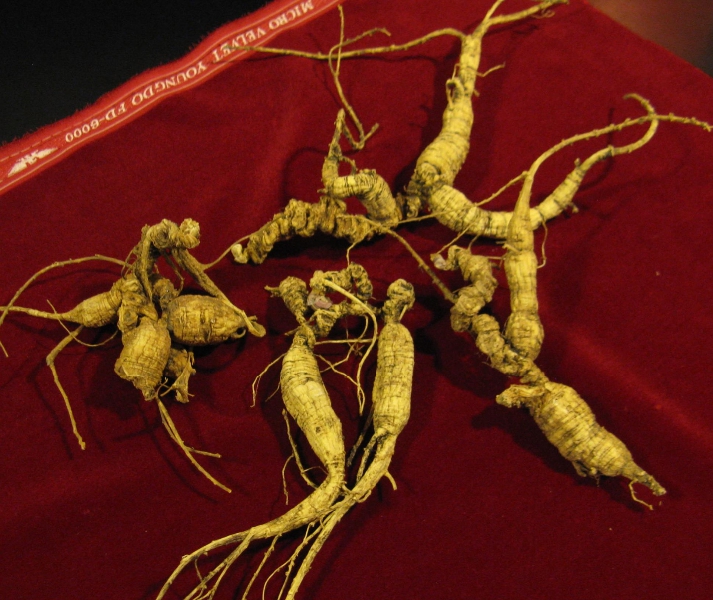 Roots