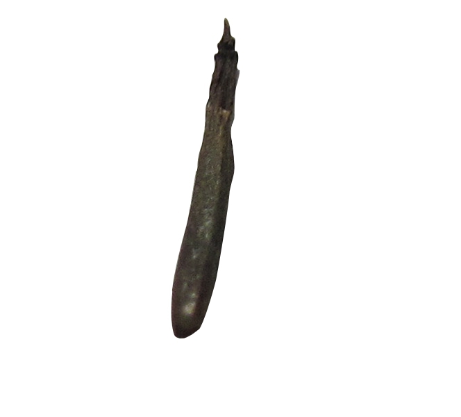 Seed Pod