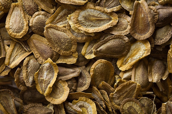 flat, brown, discoid seeds