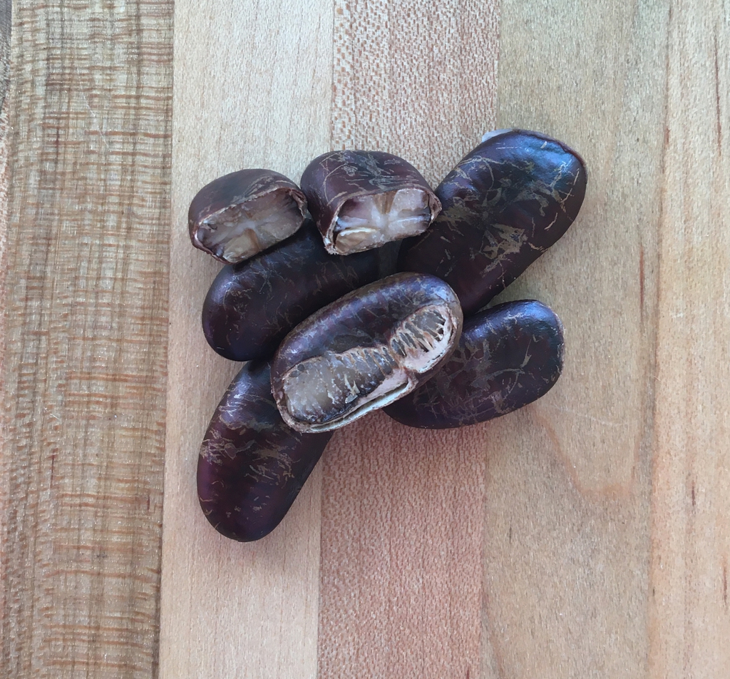 Close up of seeds, some cut to show ruminate endosperm
