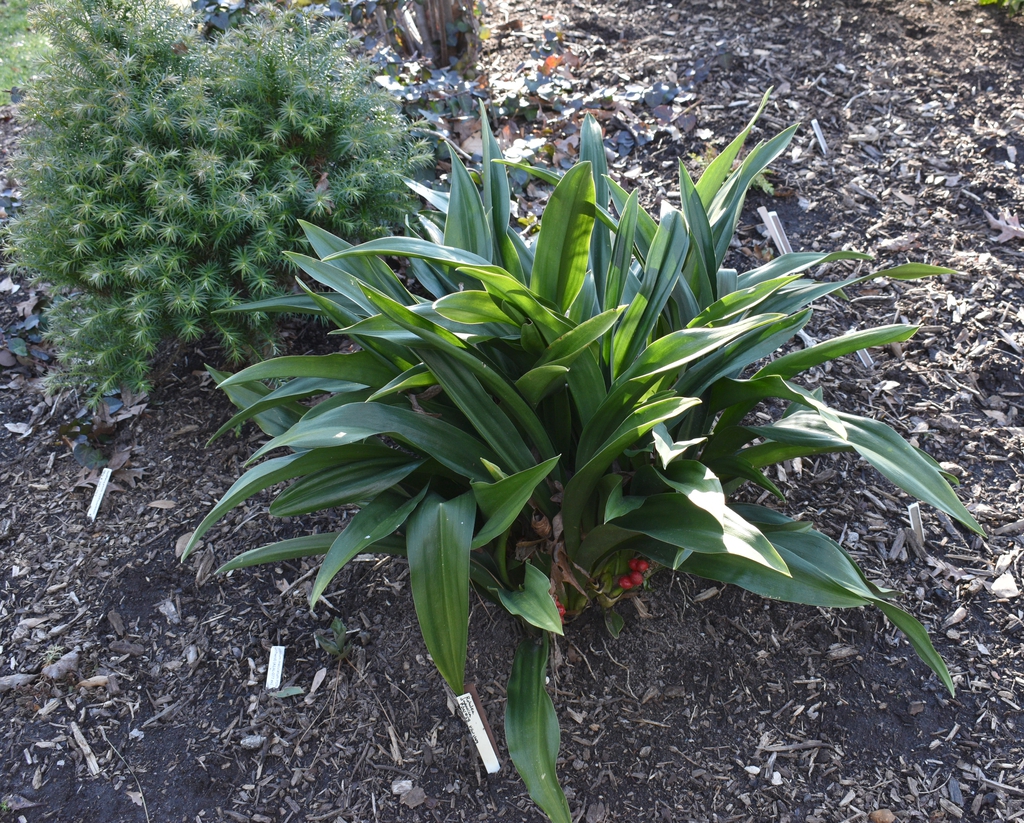 Form - Wake Co., NC