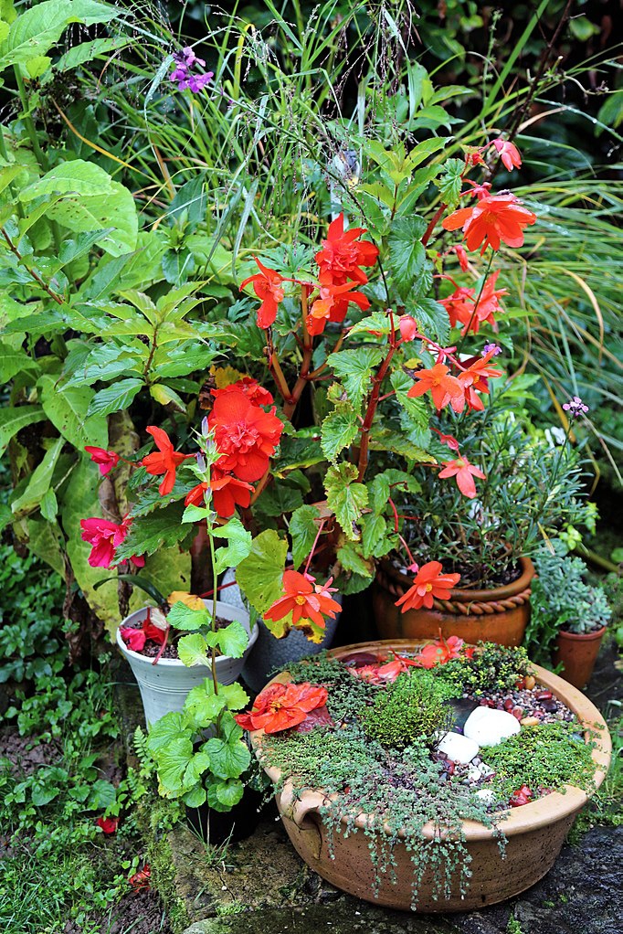 Used in the garden