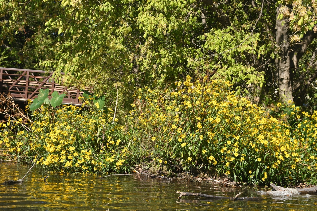 Native habitat