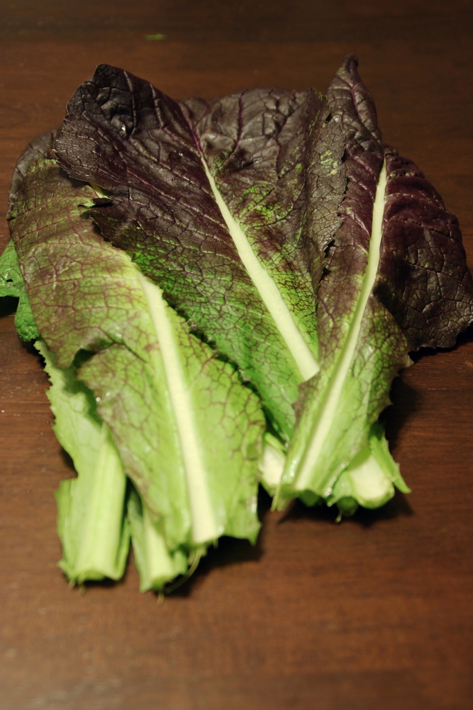 Scotch kale leaves