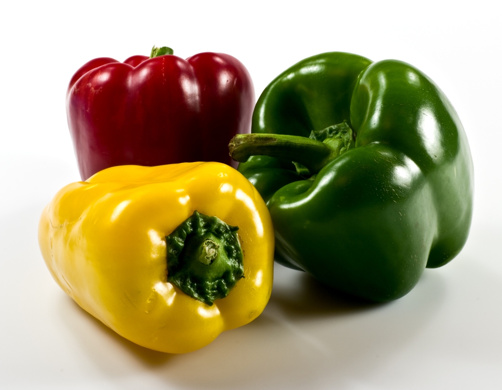 Capsicum annuum