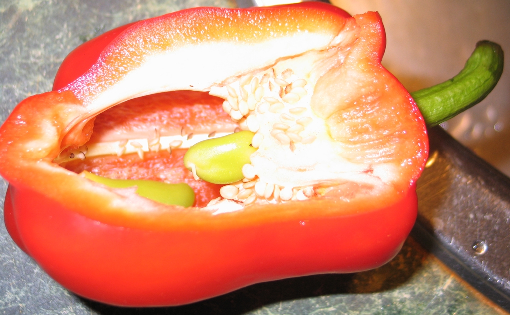 Fruit