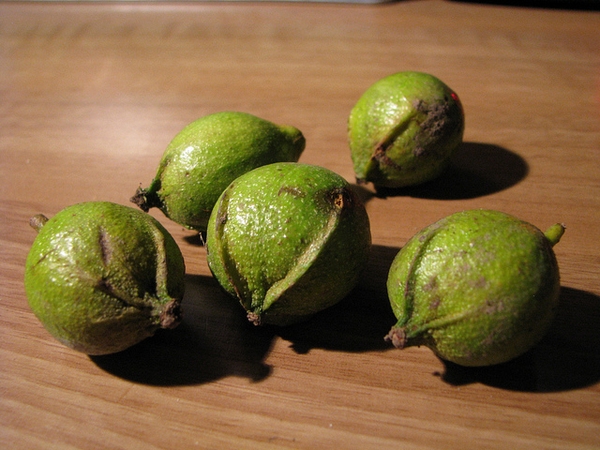 Fruit