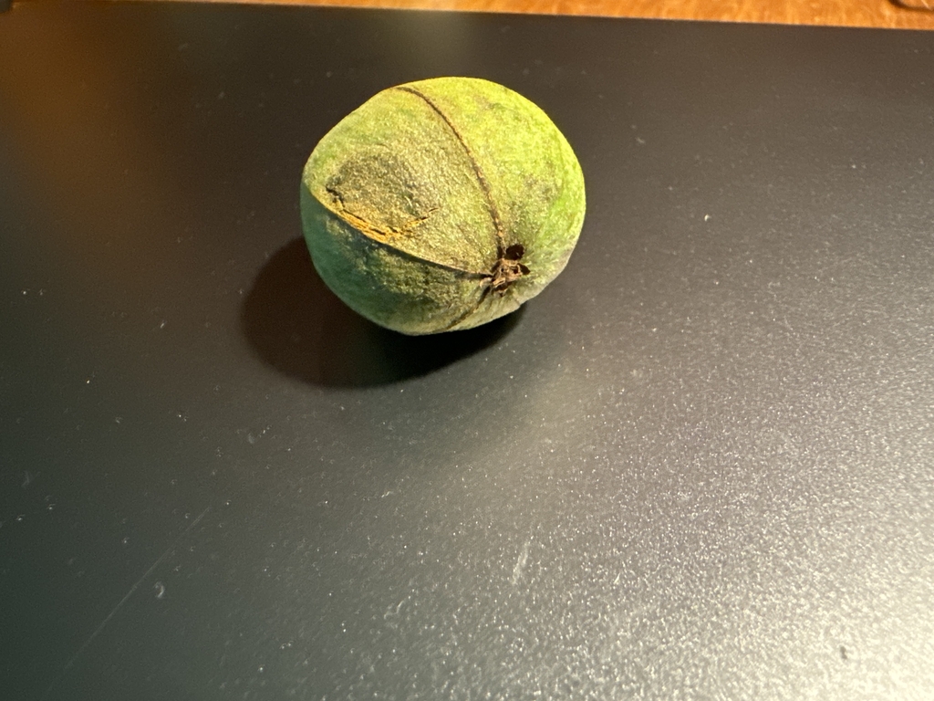 Fruit in July