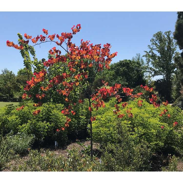 Used in the garden