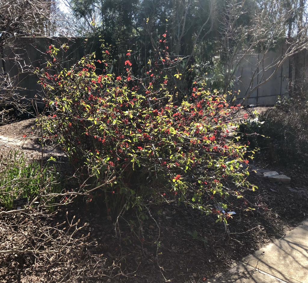 Form - Wake Co., NC