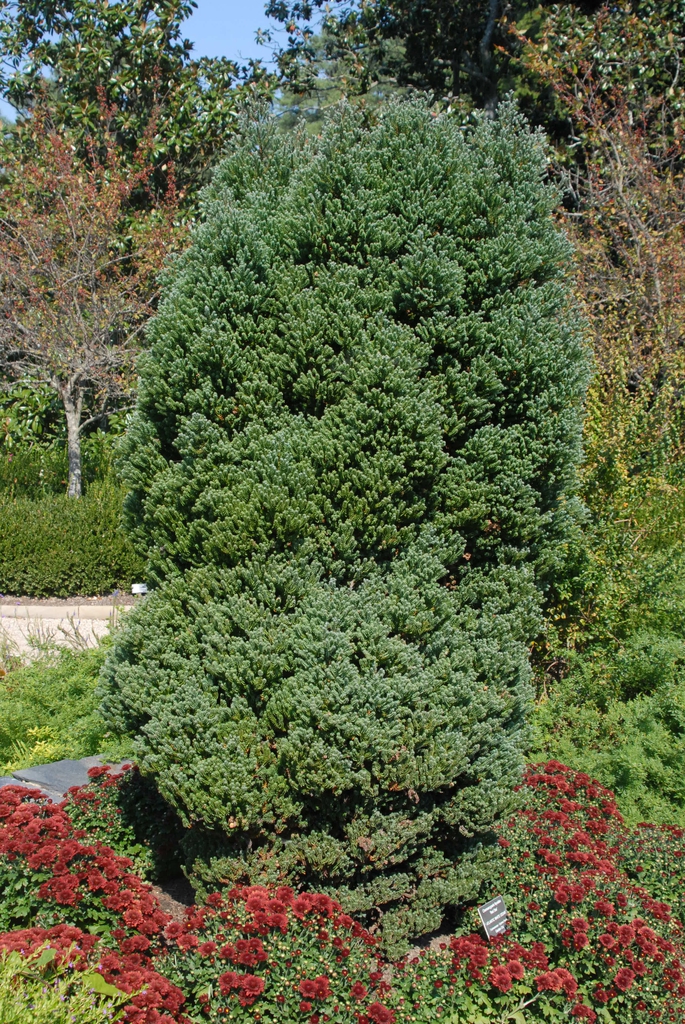 Form in the spring.