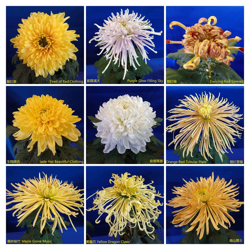 Cultivars