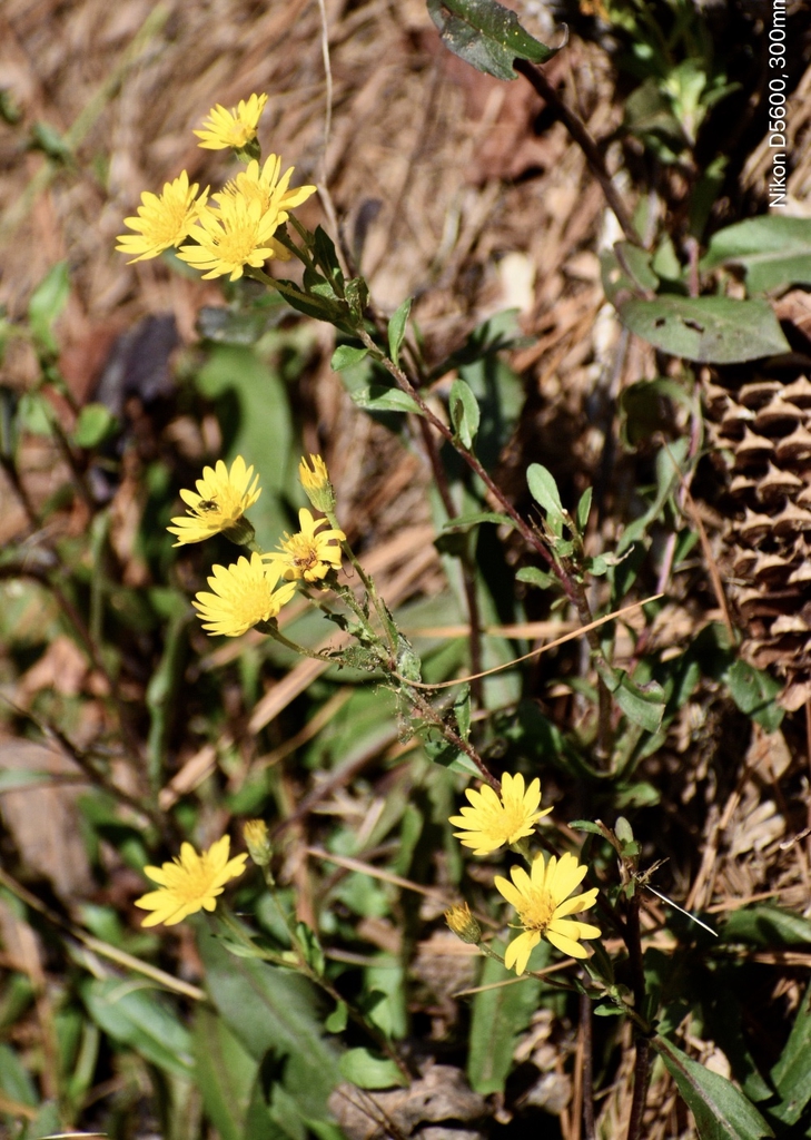 Form - Oct. 3 - Warren Co., NC