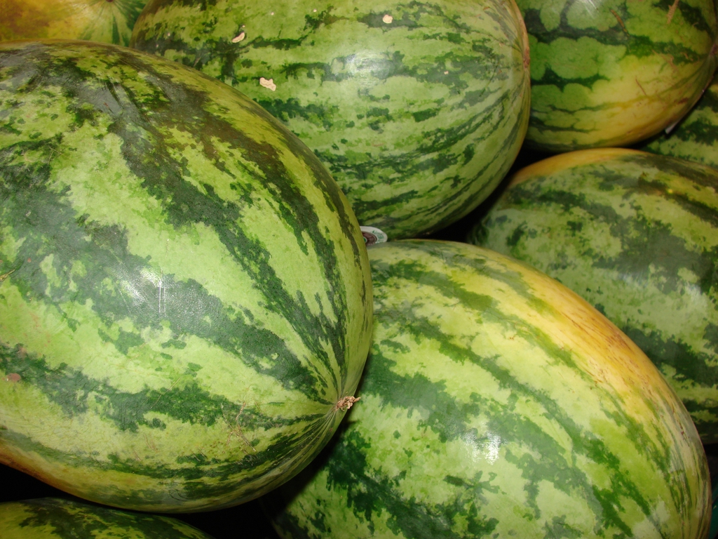 Fruit