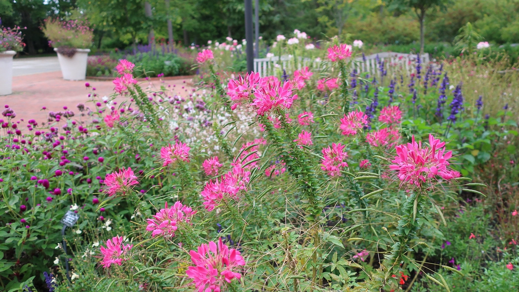 Used in the garden