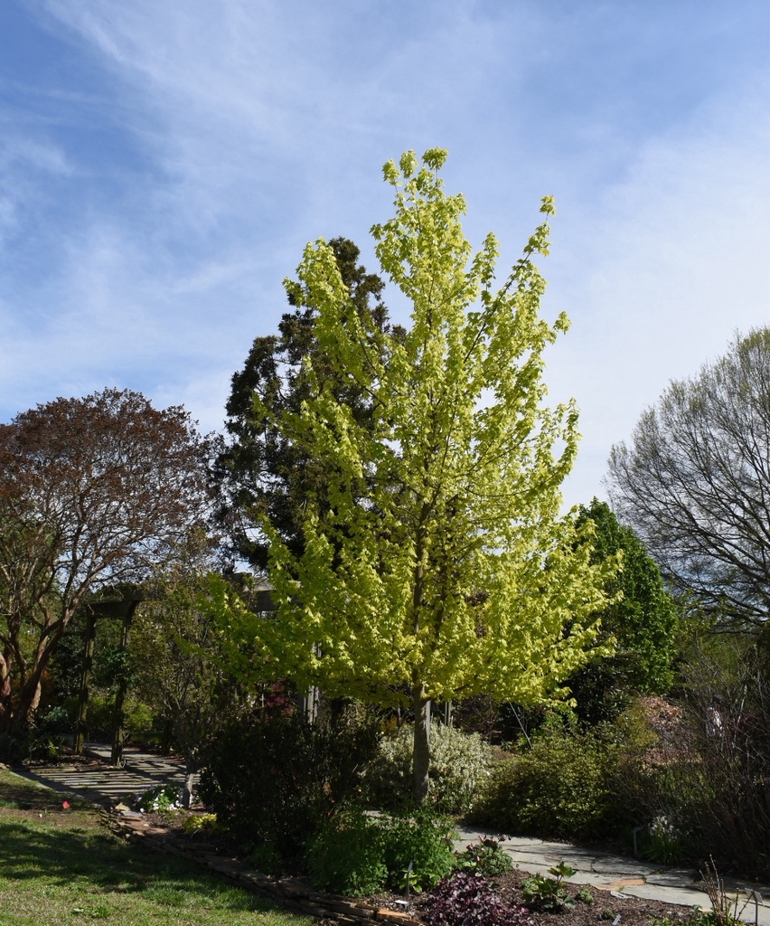 'Michael Steinhart' Form - April - Wake Co., NC