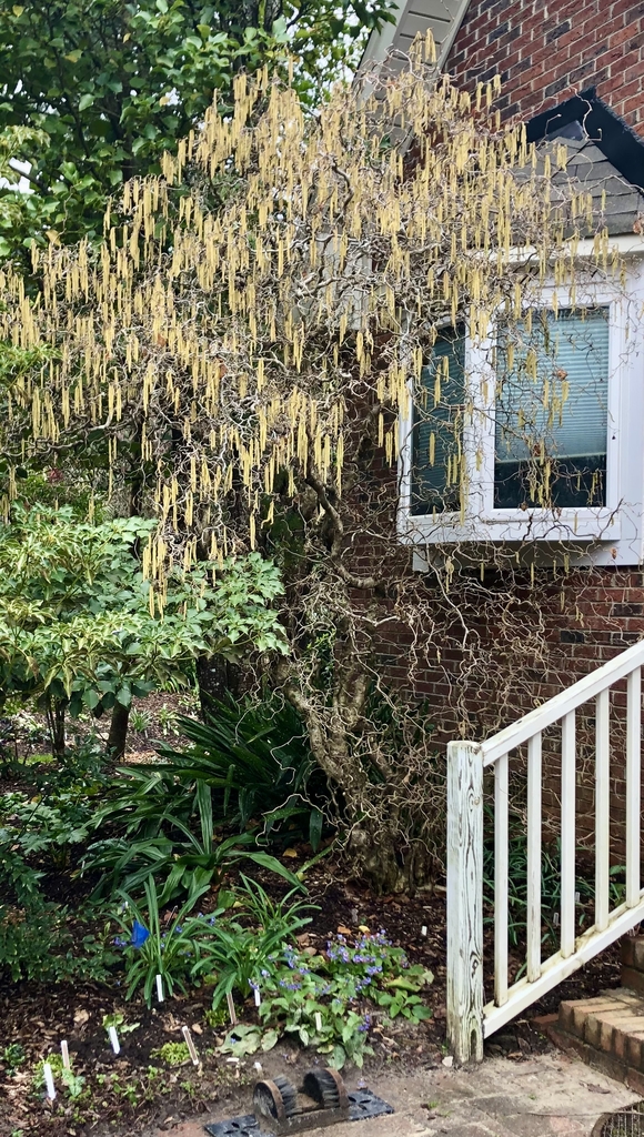 Form - March - Wake Co., NC