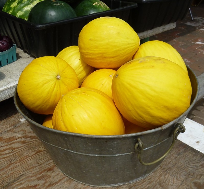 washtub full of yellow melons
