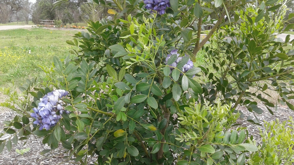 Form on March 7 in Houston, Texas