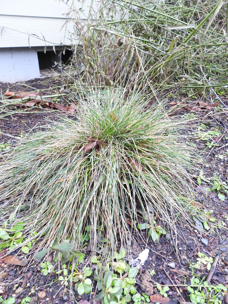 Photo taken in the winter.