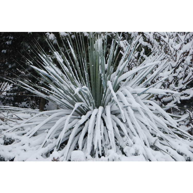 In Winter