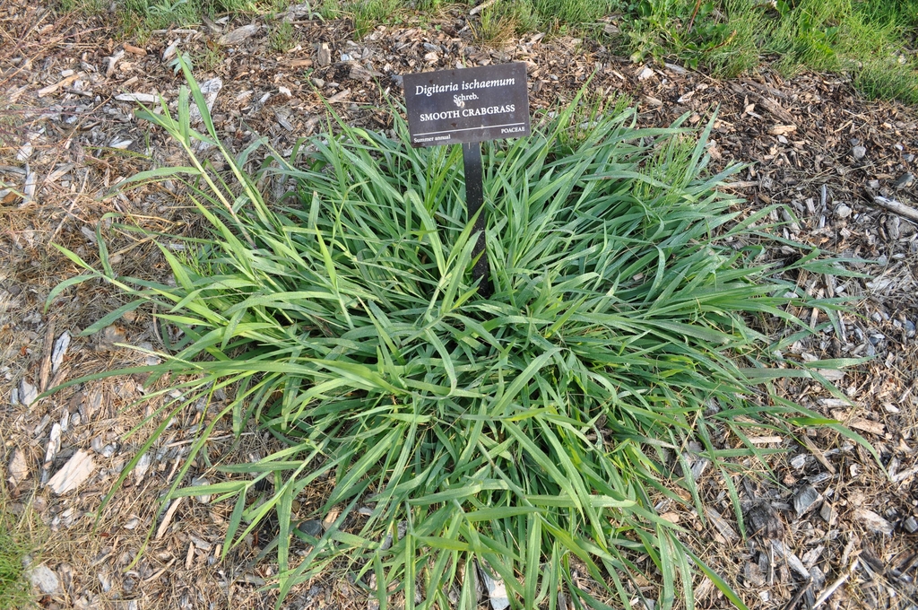Form