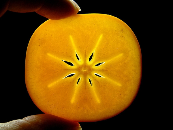 Slice of fruit