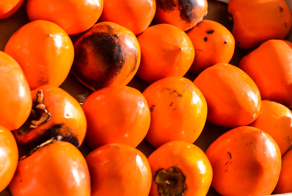 fruit
