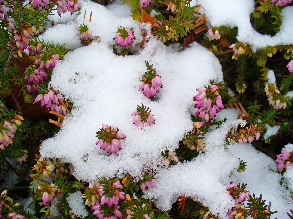 In the winter