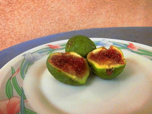 Ficus carica 'Marseille'