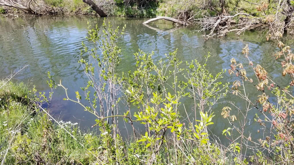 Form in April in Oklahoma