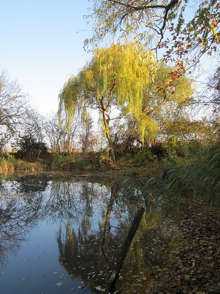 Form in November in Hockenheim, Germany