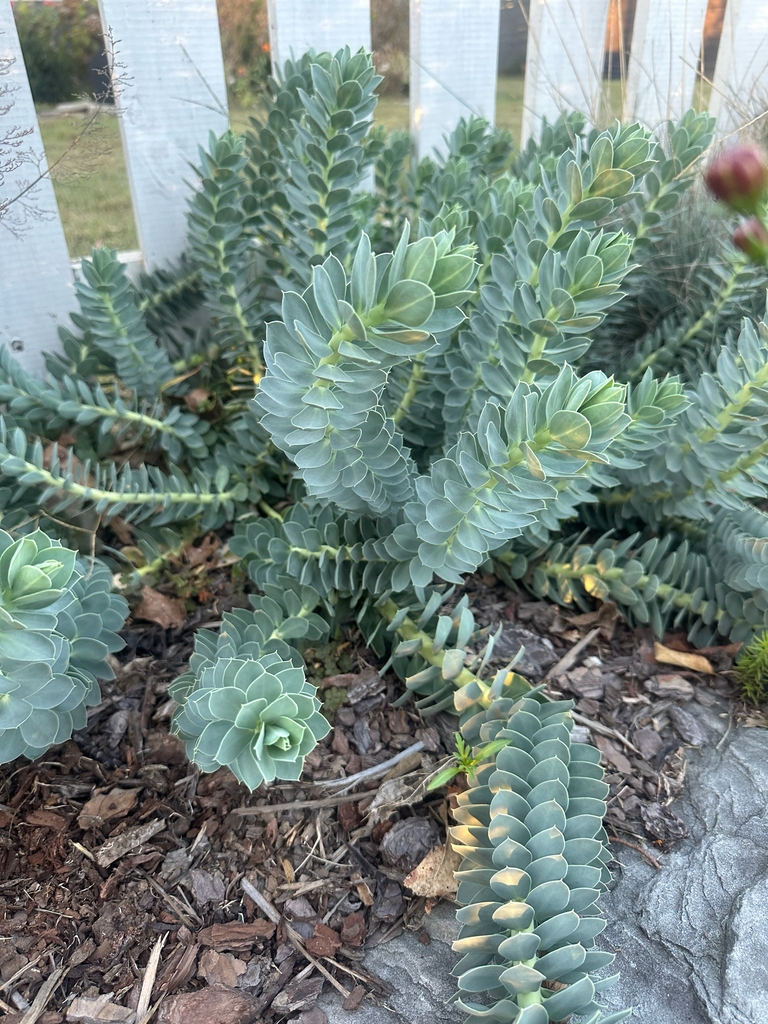 Form in October in Davidson County, Tennessee