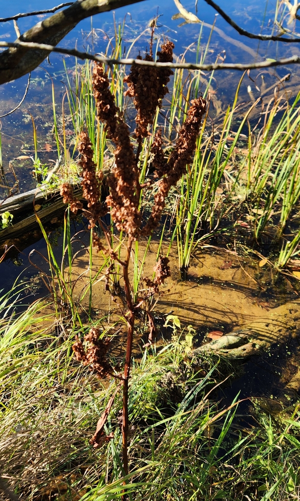 Form in October in Portage County, Wisconsin