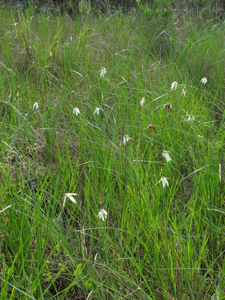 Form in September in Palm Beach County, Florida
