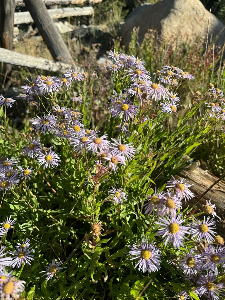 Form in September in Ward County, Colorado