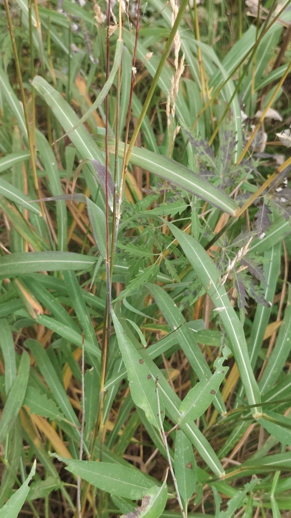Form in October in Beijing, China