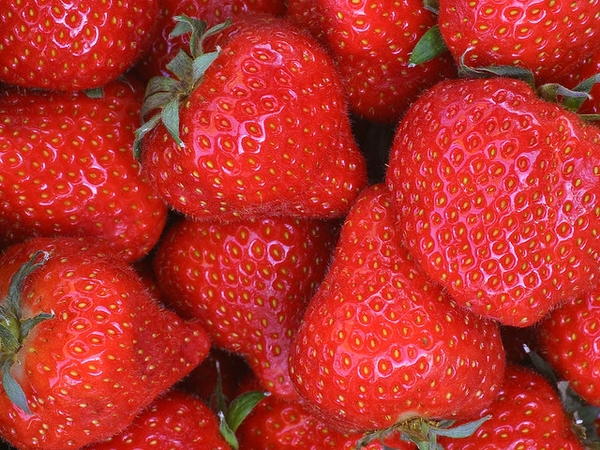 Fruit