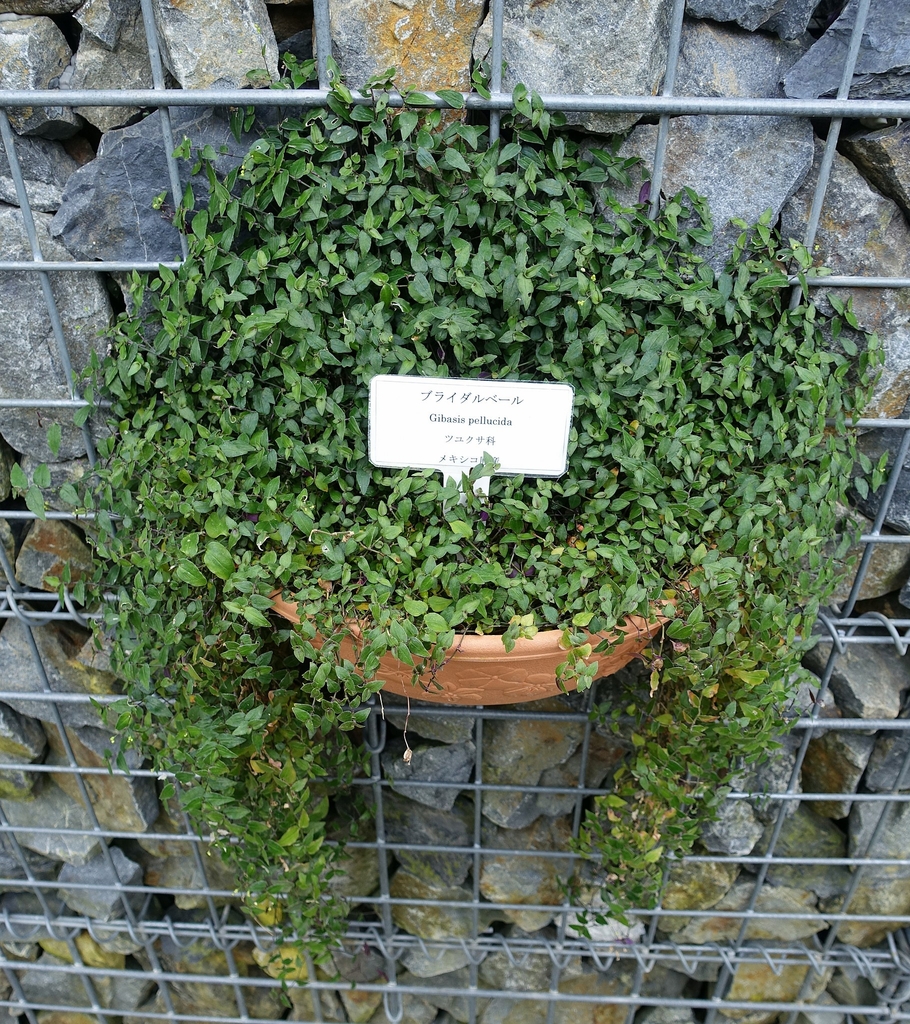 Form in a container