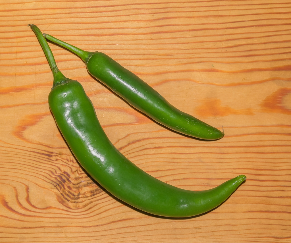 Fruit