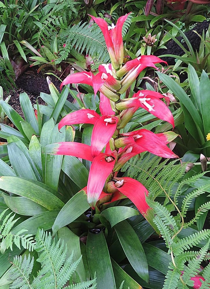 Form