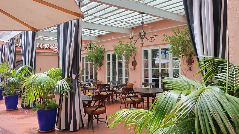 A patio dining area with large pots of feather-leaf palms