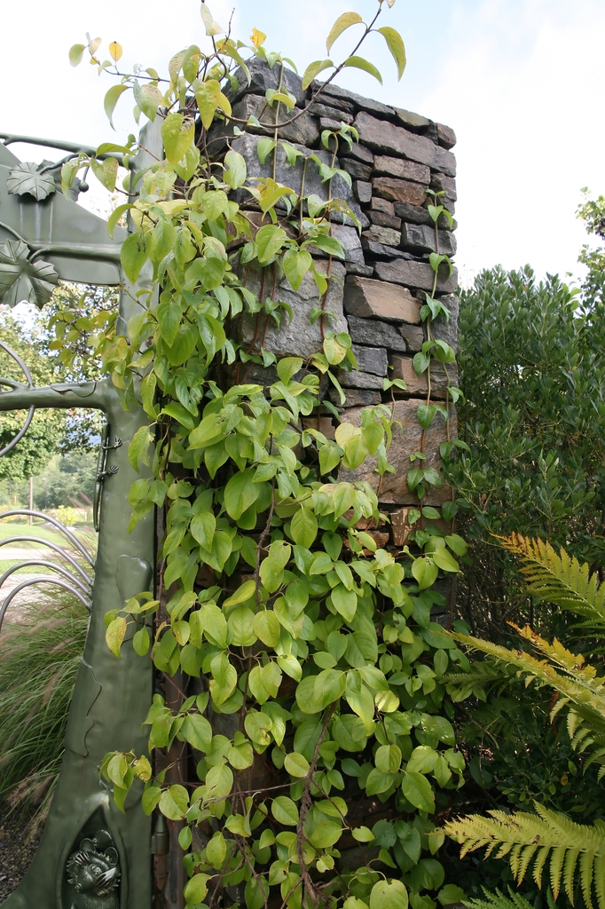 Form climbing on a structure
